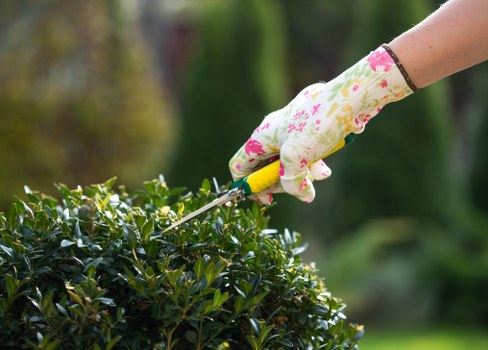 Beautiful landscaped garden with vibrant flowers and greenery