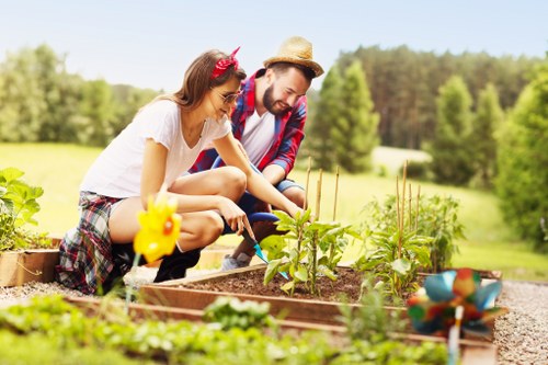 A vibrant home garden with various plants and flowers