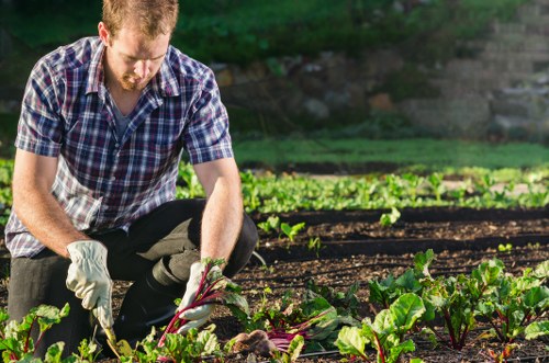 Gardener pruning a plant in a lush garden