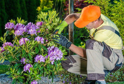 Inspector reviewing garden maintenance records