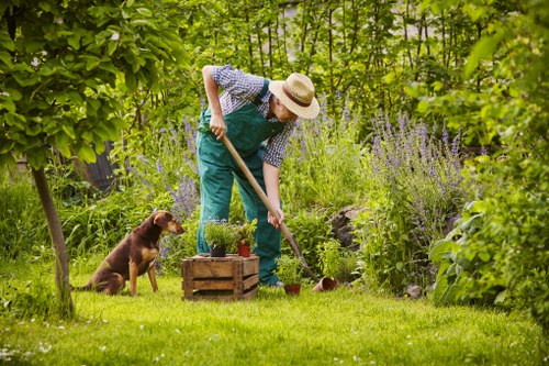 Professional horticulturists planning a garden layout