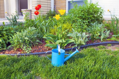 Introduction to garden clearance with garden tools
