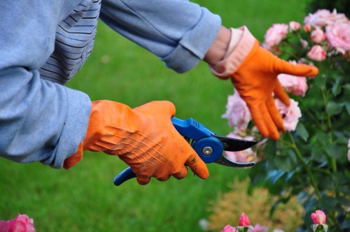 High-quality lawn mower cutting grass in a well-maintained garden