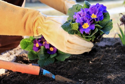 Selection of diverse plants arranged in a thriving garden