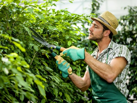 Professional garden maintenance service in action