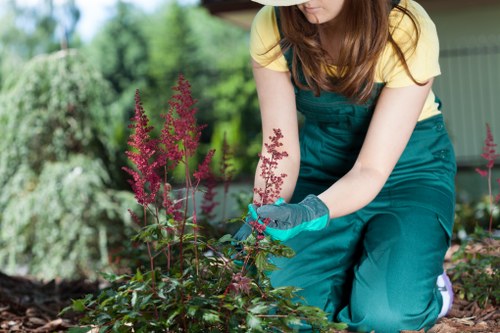 Selection of diverse plants in a thriving landscape garden.