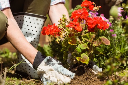 Policy documents and insurance certificate on a table with gardening gloves