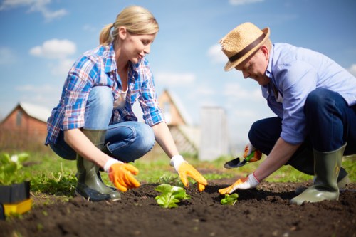 Tools and equipment for garden clearance